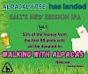 Alpacalypse session IPA